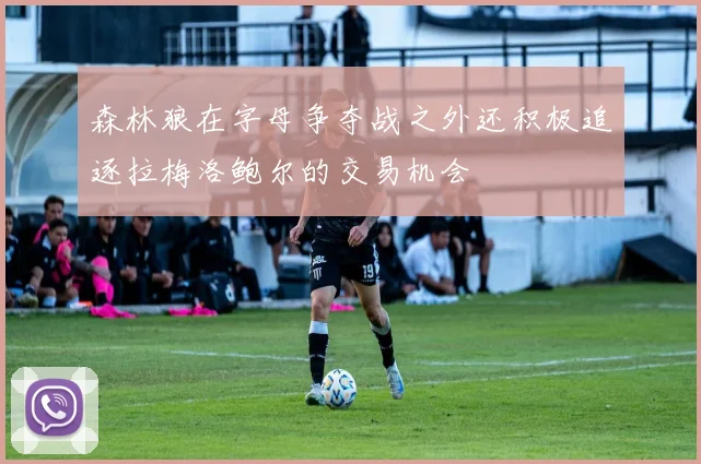 森林狼在字母争夺战之外还积极追逐拉梅洛鲍尔的交易机会